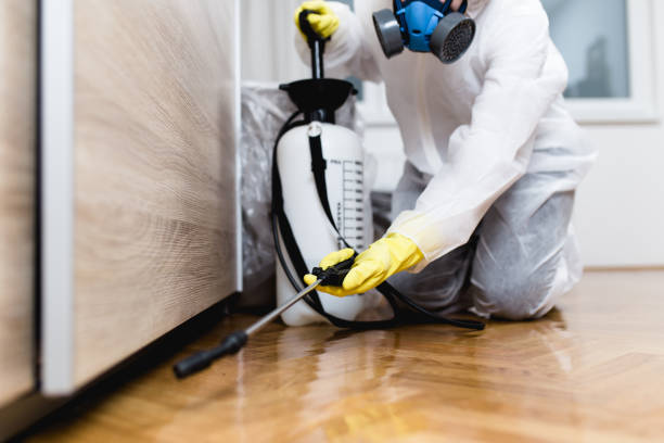 Best Exterminator Services  in Collinsville, TX