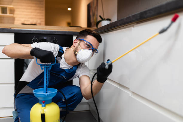 Best Cockroach Control Services  in Collinsville, TX