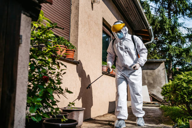 Best Pest Inspection Near Me  in Collinsville, TX